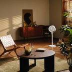 Xiaomi Smart Standing Air Circulation Fan