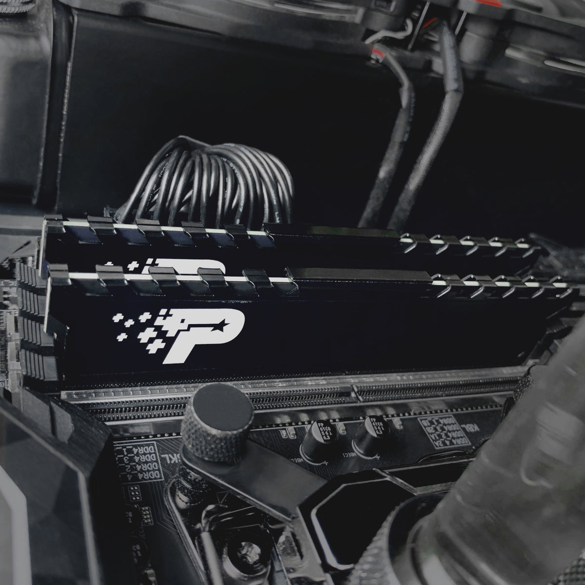 Patriot Signature Premium Line DDR4 16GB 3200MHz UDIMM